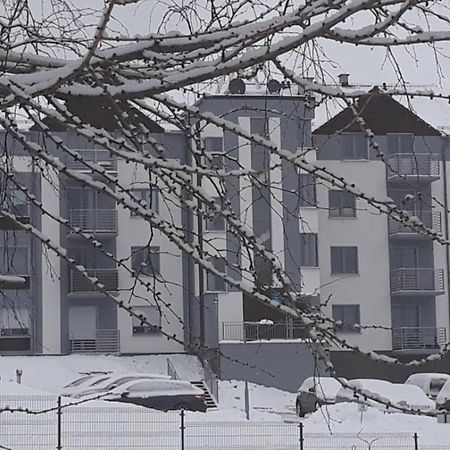 Apartament Szary Wilk Świeradów-Zdrój Exterior foto