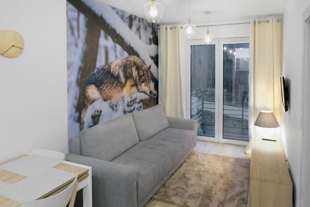 Apartament Szary Wilk Świeradów-Zdrój Exterior foto